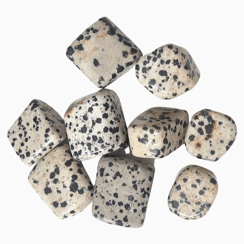 Dalmatian Jasper Tumble Stone