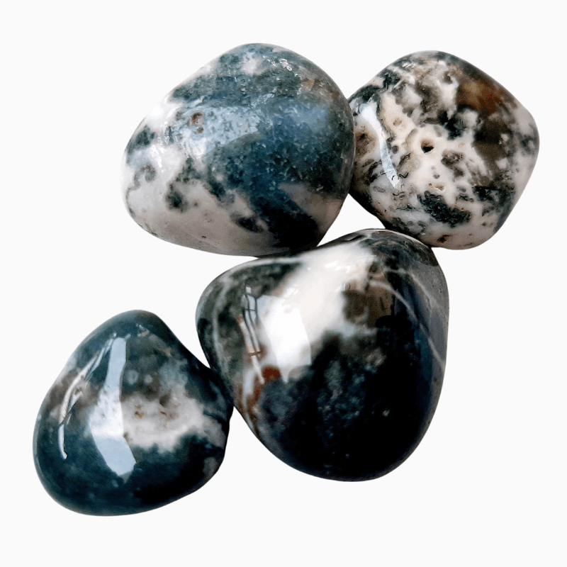 Tree Agate Tumble Stone used for calming & grounding