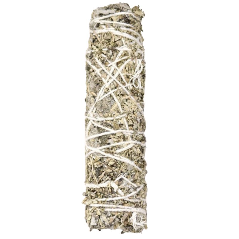 Mugwort Sage for cleansing