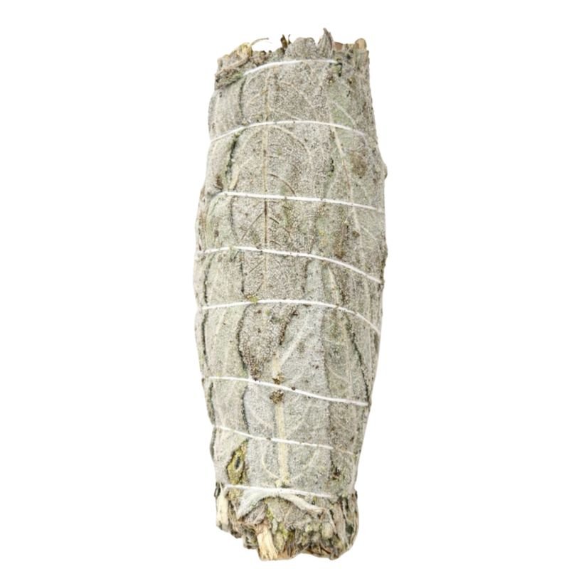 Indian Sage for cleansing