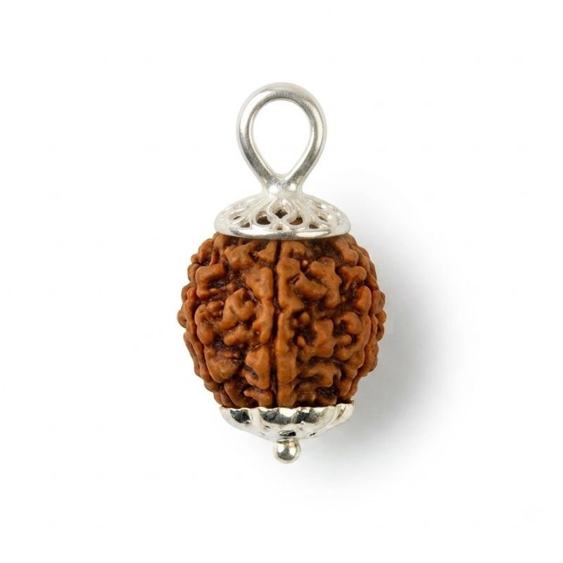Natural 6 Mukhi Nepali Rudraksh Pendant featuring authentic textured bead with six distinct natural facets